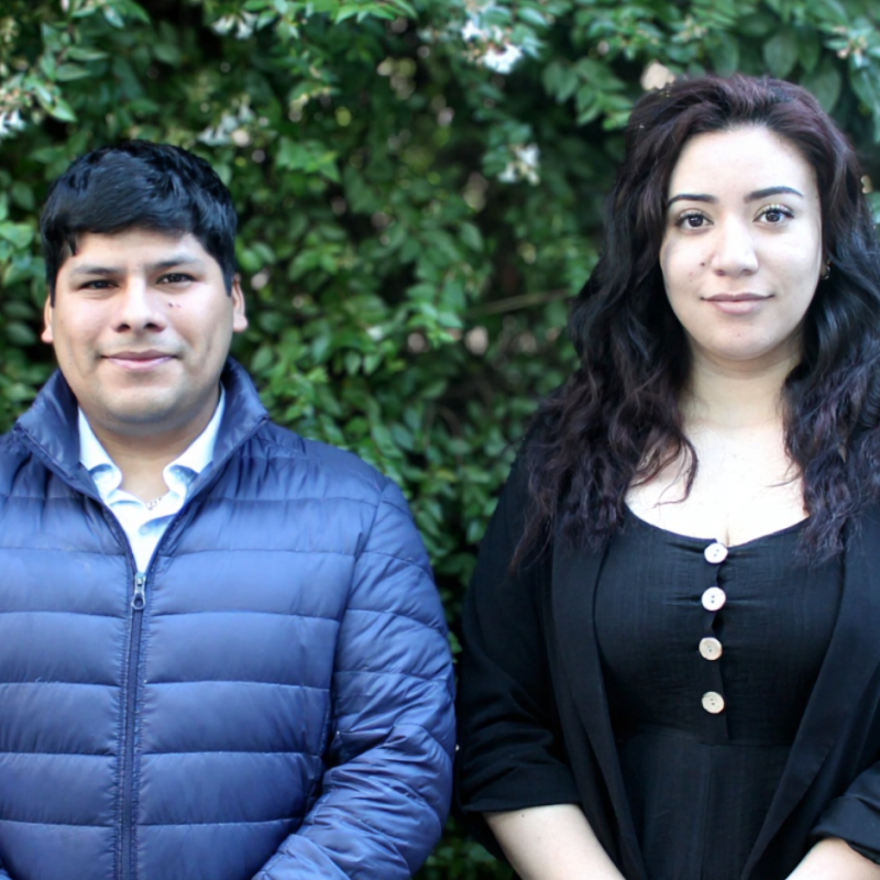 Prácticas profesionales en Metaproject